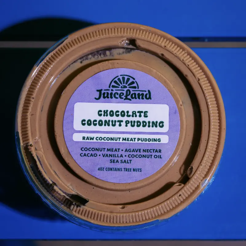 Chocolate Coconut Pudding at JuiceLand Frost Tower | Toast