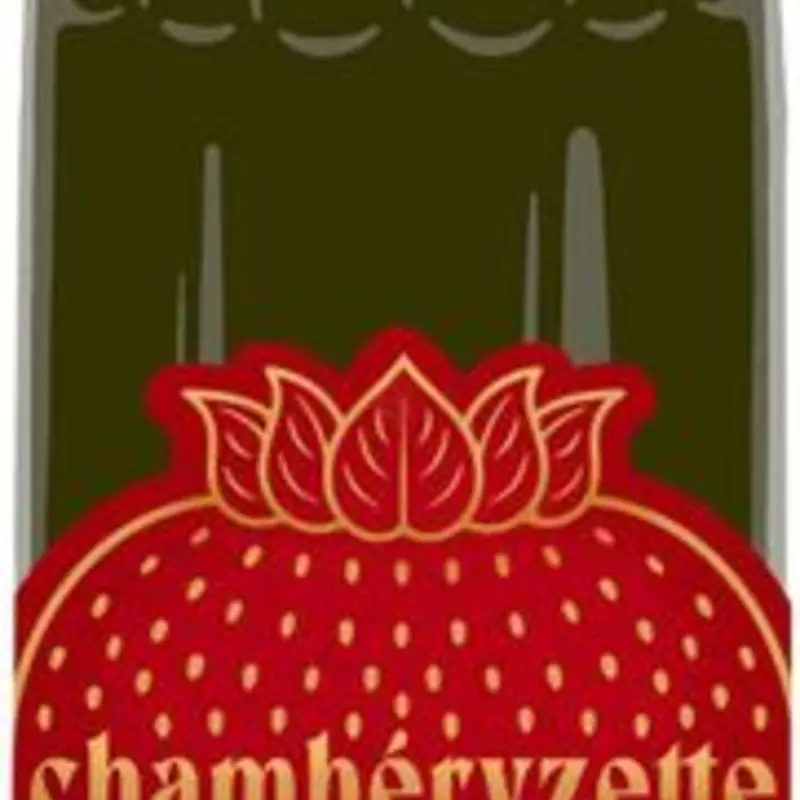 Dolin Chamberyzette Strawberry Aperitif at Capitol Discount Liquors 22 West Pine Street | Toast