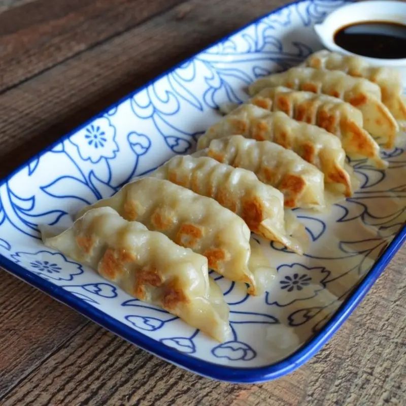 Pork Gyoza at SENYAI Thai Street Food & Noodle Bar in Historic 5-Points Riverside near downtown Jacksonville!