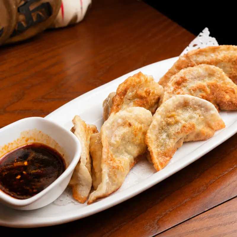 Pork Fried Dumplings at Precious Japanese & Chinese Cuisine 128 Washington St