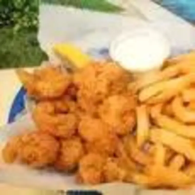 9 Pieces Jumbo Shrimp with Fries at Halal Gyro Food