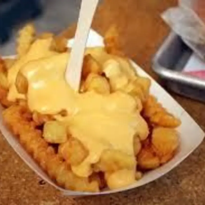 Cheese Fries at Halal Gyro Food