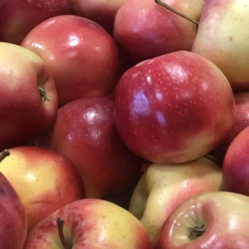 Fruit at Foodlink Community Cafe 115 South Ave