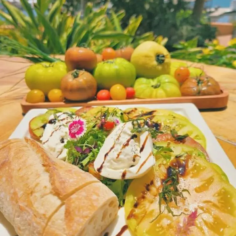 Burrata Salad